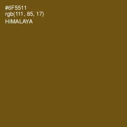 #6F5511 - Himalaya Color Image