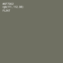 #6F7062 - Flint Color Image