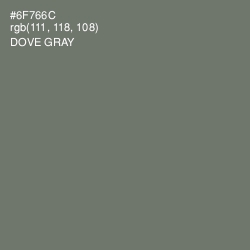 #6F766C - Dove Gray Color Image