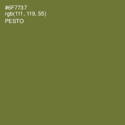 #6F7737 - Pesto Color Image