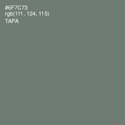 #6F7C73 - Tapa Color Image
