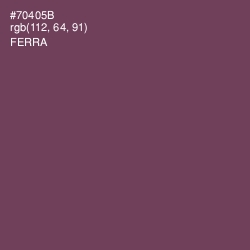 #70405B - Ferra Color Image
