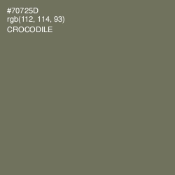 #70725D - Crocodile Color Image
