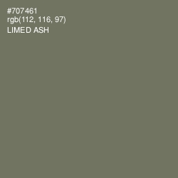 #707461 - Limed Ash Color Image