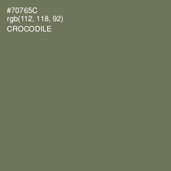 #70765C - Crocodile Color Image