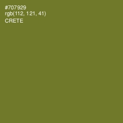 #707929 - Crete Color Image