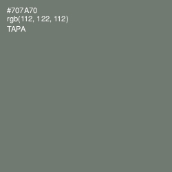 #707A70 - Tapa Color Image