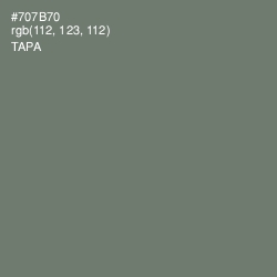 #707B70 - Tapa Color Image