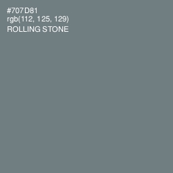 #707D81 - Rolling Stone Color Image