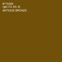 #715009 - Antique Bronze Color Image