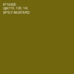 #71660E - Spicy Mustard Color Image