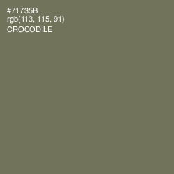 #71735B - Crocodile Color Image