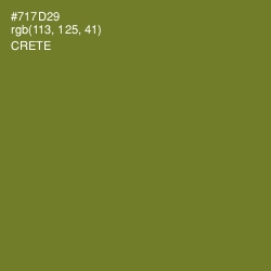 #717D29 - Crete Color Image