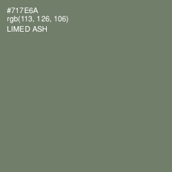 #717E6A - Limed Ash Color Image