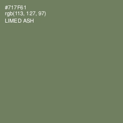 #717F61 - Limed Ash Color Image