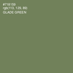 #718159 - Glade Green Color Image