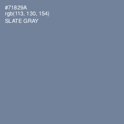 #71829A - Slate Gray Color Image