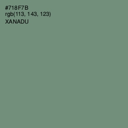 #718F7B - Xanadu Color Image