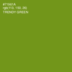 #71961A - Trendy Green Color Image
