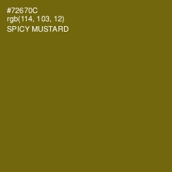 #72670C - Spicy Mustard Color Image