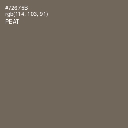 #72675B - Peat Color Image