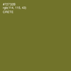 #72732B - Crete Color Image
