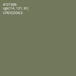 #72795B - Crocodile Color Image