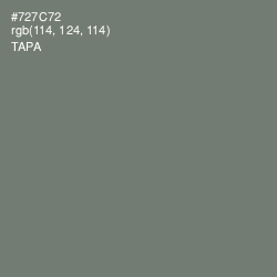 #727C72 - Tapa Color Image