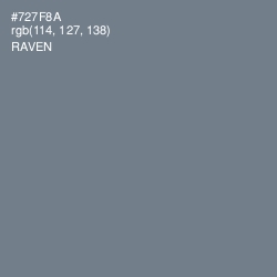 #727F8A - Raven Color Image