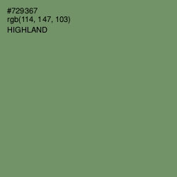 #729367 - Highland Color Image