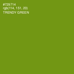#729714 - Trendy Green Color Image