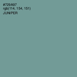 #729A97 - Juniper Color Image