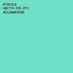 #72E0C9 - Aquamarine Color Image