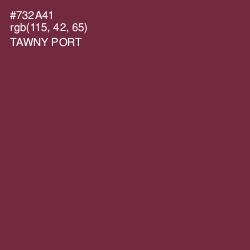 #732A41 - Tawny Port Color Image
