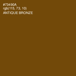 #73490A - Antique Bronze Color Image