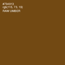 #734913 - Raw Umber Color Image