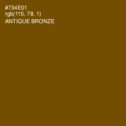 #734E01 - Antique Bronze Color Image