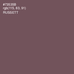 #73535B - Russett Color Image