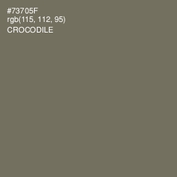 #73705F - Crocodile Color Image