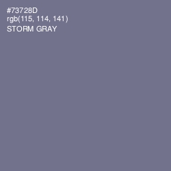#73728D - Storm Gray Color Image