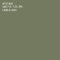#737A60 - Limed Ash Color Image