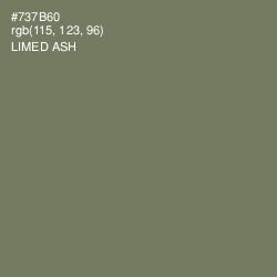 #737B60 - Limed Ash Color Image