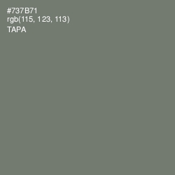 #737B71 - Tapa Color Image