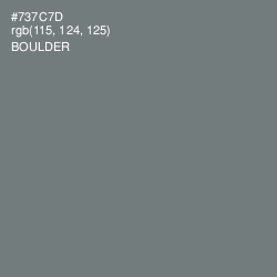 #737C7D - Boulder Color Image