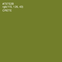 #737E2B - Crete Color Image