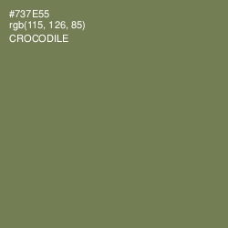 #737E55 - Crocodile Color Image