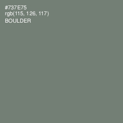 #737E75 - Boulder Color Image