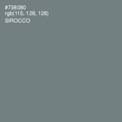 #738080 - Sirocco Color Image