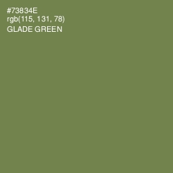 #73834E - Glade Green Color Image