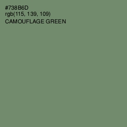 #738B6D - Camouflage Green Color Image